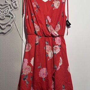 Collective Concepts Red and White Dress